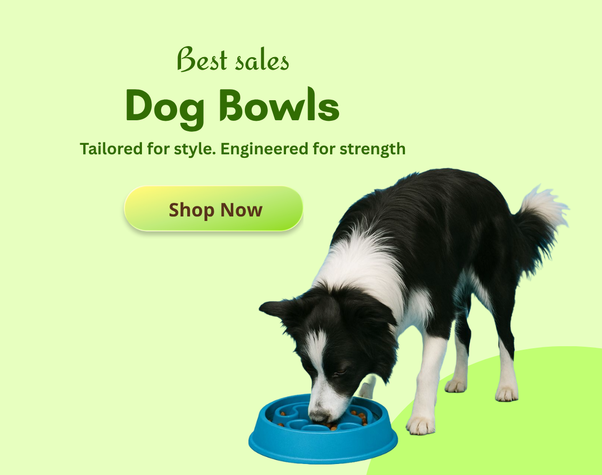 new dog feeding